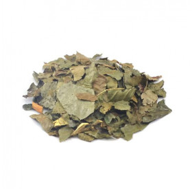 Chá de Bugre (Cordia sacicifolia - Cham)