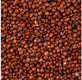 Quinoa/Quinua Grãos Vermelha